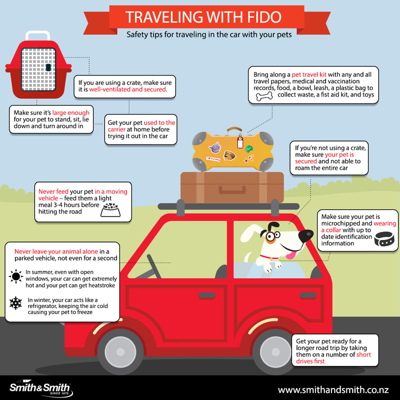 Tips for travelling with pets in car