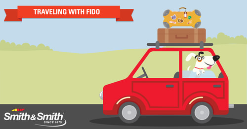 Tips for travelling with pets